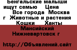 Бенгальские малыши ищут семью) › Цена ­ 5 500 - Все города, Москва г. Животные и растения » Кошки   . Ханты-Мансийский,Нижневартовск г.